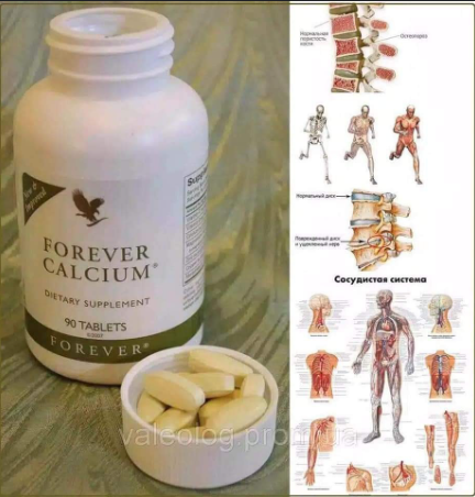 Forever Calcium - Forever by Alice